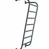Arm Ladder