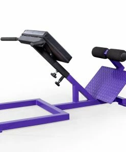 Elitefts™ Scholastic 45 Degree Back Raise