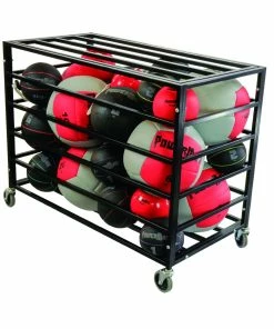 Medicine Ball Cage