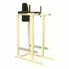 Dip / Vertical Knee Raise Stand -Goalrilla Shop DSWS S DVKR