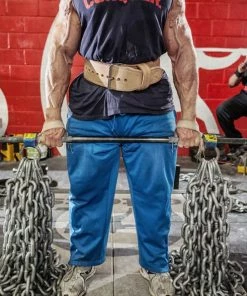 Pair Of Chains -Goalrilla Shop elitefts chains ez straps deadlift