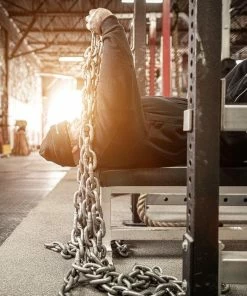 Pair Of Chains -Goalrilla Shop elitefts chains grenade balls dave tate