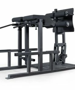 Elitefts Posterior Chain Developer